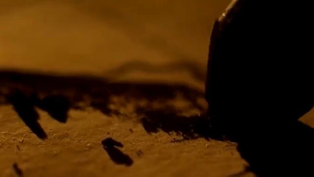 Первые видеоролик разговоры о важном 12 февраля 2024 для СПО тема день первооткрывателя