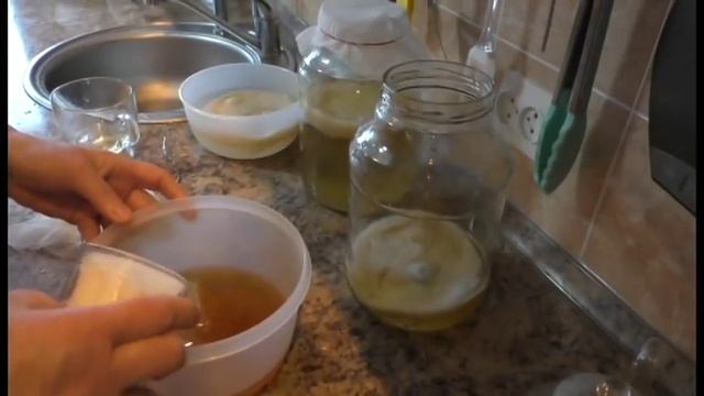 чайный гриб или комбуча Kombucha очень полезно и вкусно смотреть онлайн