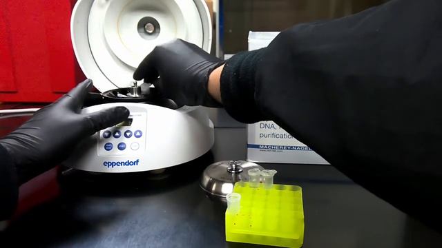 Lab 3: PCR Purification смотреть онлайн