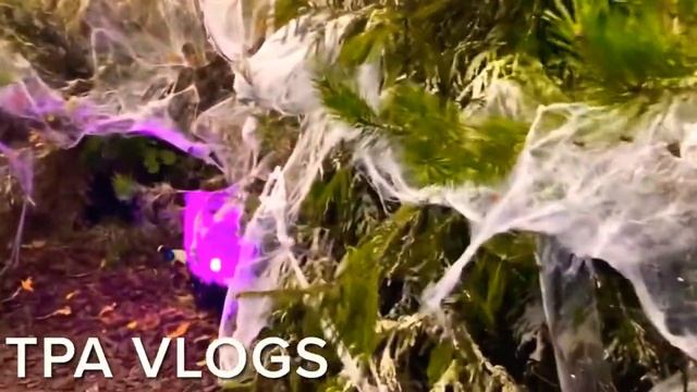 Chessington World of Adventures - The Forgotten Forest Complete Walkthrough 4K смотреть онлайн