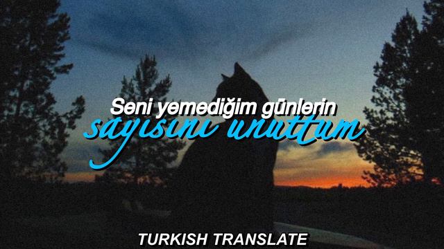 Feid & Justin Quiles - PORFA (TÜRKÇE ÇEVİRİ) (Düzeltilmiş Versiyon) смотреть онлайн