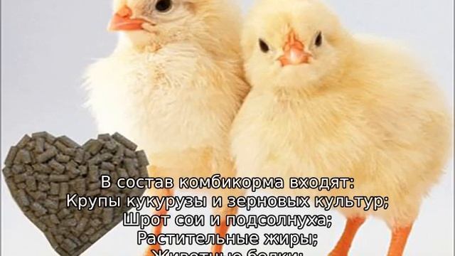 Корм Пурина для бройлеров смотреть онлайн