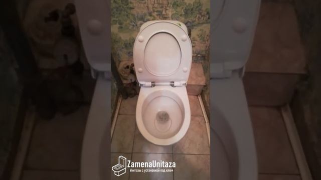 Тест смыва унитаза Jika Vega Косой Выпуск смотреть онлайн