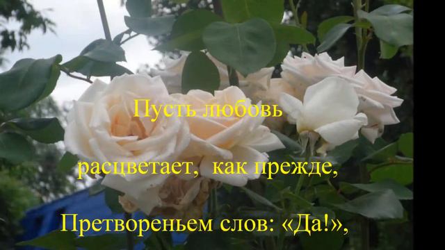 Если в сердце живет Любовь! Автор Серафима Марченко смотреть онлайн