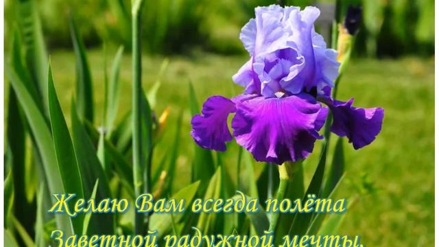 David Wahler Whispers From Eternity - Желаю Вам-Стихи Николая Ледакова смотреть онлайн