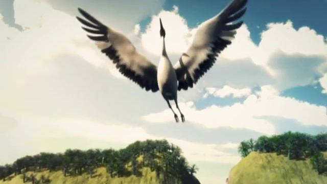 Амурская Осень 2013 - Заставка Журавль смотреть онлайн