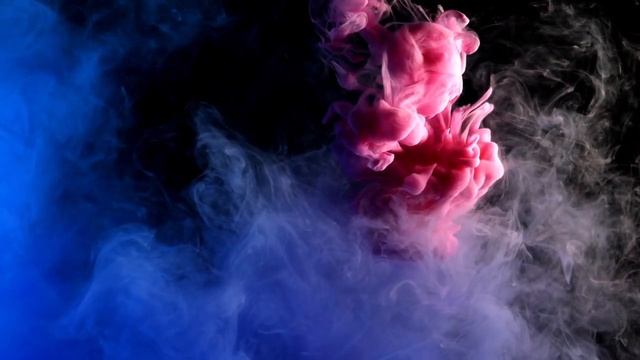 Кто лучше блондинки или брюнетки?кого выбирают мужчины? смотреть онлайн