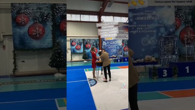 Выставка собак Пенза 2022 смотреть онлайн