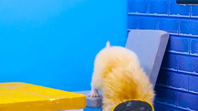 Fake Doctor Check Up Time! How to take care of sick baby | Life Of Pets HamHam смотреть онлайн