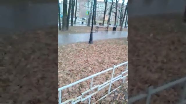 Саженцы дуба. Доход без вложений.