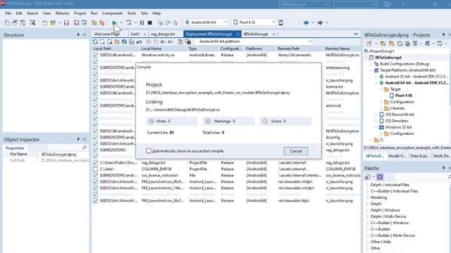InterBase for RAD Studio Developers смотреть онлайн