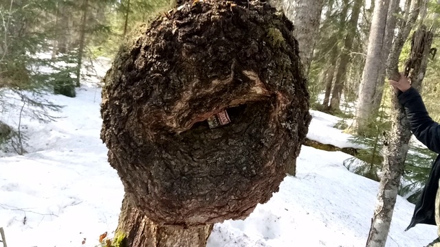 Чудо кап смотреть онлайн