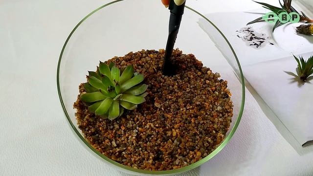 Флорариум своими руками. смотреть онлайн