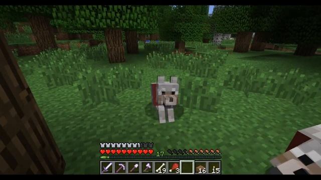 Minecraft Better Than Wolves EP59 - Breeding Wolves смотреть онлайн