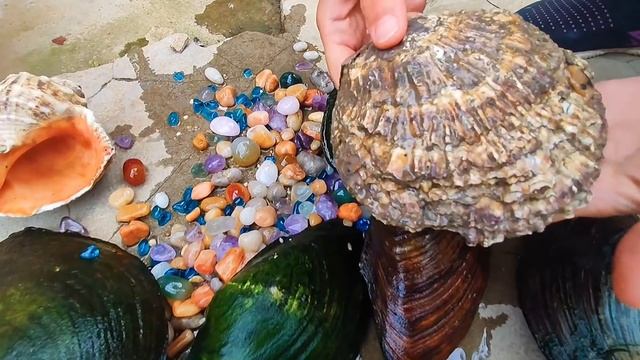 Super clean beach, perfect for pearl oyster growth. Gems, diamonds, pearls, jewelry宝石，珍珠，钻石 珠宝 смотреть онлайн