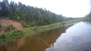 Нахлыстовая рыбалка на реке Лоза Удмуртия