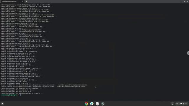 How to install Sonic Robo Blast 2.2.10 on a Chromebook смотреть онлайн