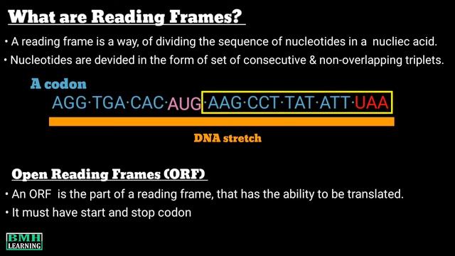 Overlapping Genes | Open Reading Frames | What Are overlapping Genes | смотреть онлайн