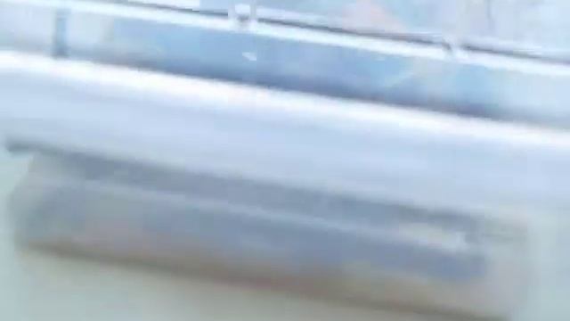 террариум для Божьих коровок смотреть онлайн