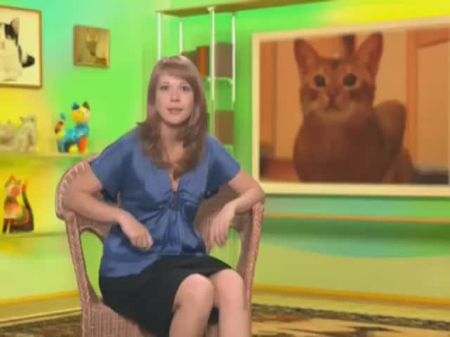 Сервалы смотреть онлайн