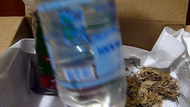 Пересадка детки орхидеи ( Как пересадить орхидею) смотреть онлайн