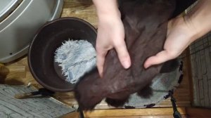 Ошибки при выделке шкур кролика в домашних условиях.