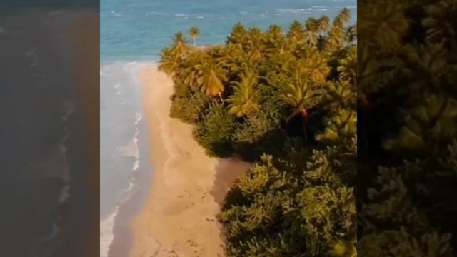 Lagta nahi hai dil mera Bahadur shah zafar's best ghazal смотреть онлайн