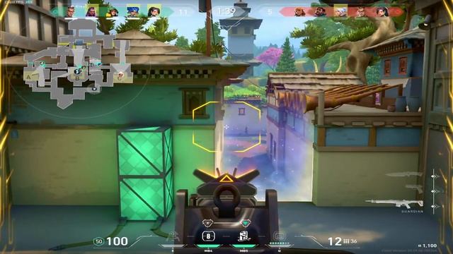 Using TenZ Raw Accel Settings Made Me INSANE...