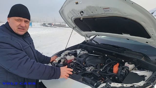 Сравнение Toyota Venza LE и XLE с RAV4