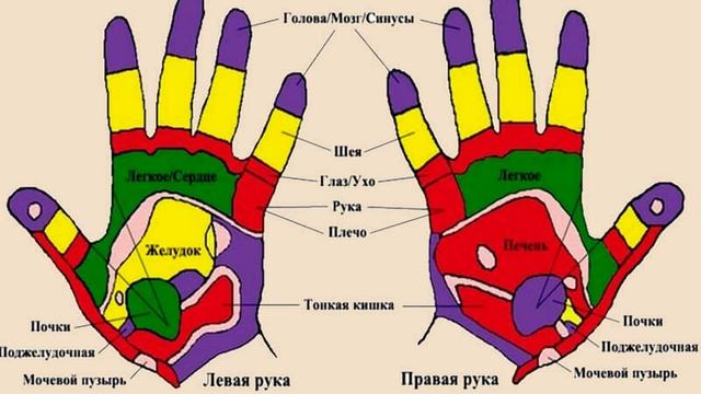 Он каждый день вращал ДВА ГРЕЦКИХ ореха в ладони. Когда я узнала, СТАЛА ДЕЛАТЬ ТАК ЖЕ. смотреть онлайн