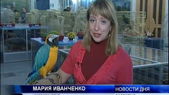 ПОСМОТРЕТЬ НА ЭКЗОТИЧЕСКИХ ПТИЦ смотреть онлайн