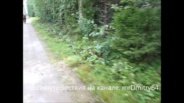 Собираем грибы в Финляндии. Отдых в коттедже Rantalan tila-Holiday Cottages. смотреть онлайн