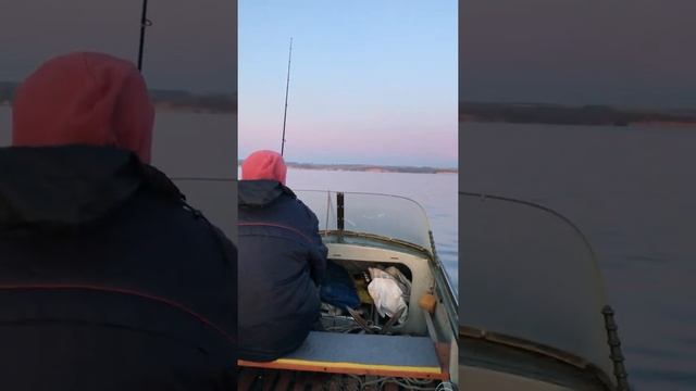 Сузуки дф9,9(20) винт 12 смотреть онлайн