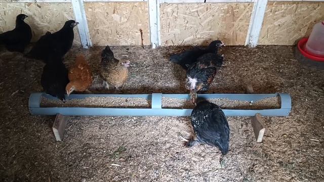 Ремонт плавно перетек в кухню 👀Будущий урожай винограда🍇 Ждем гостью 🤗🧡Кубань .Жара.Лето смотреть онлайн