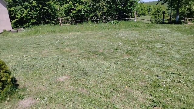 Время косить траву.#дача#теплица#огород# смотреть онлайн