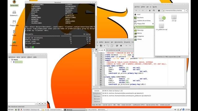 Proyecto Firebird 1ºDAM смотреть онлайн