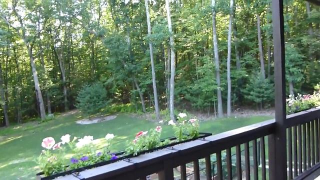 США Живи и бойся своих соседей! смотреть онлайн