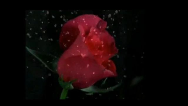 C Днём рождения Иван смотреть онлайн