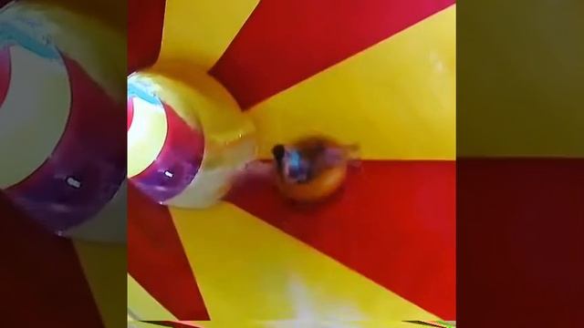 Катание на горке.В аквапарке Астаны.Столицы Казахстана.Аквапарк ailand.???????????? смотреть онлайн