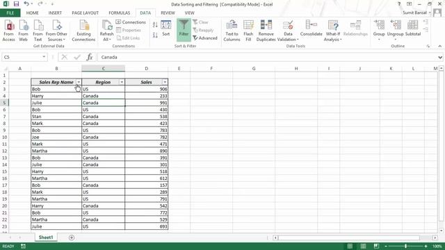 Data Sorting & Filtering in Excel (Basic + Advanced) | FREE Excel Course смотреть онлайн
