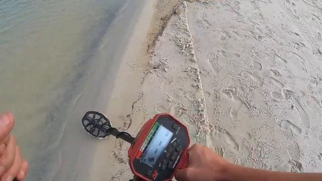 Beach Metal Detecting LIVE | Let's Dig! смотреть онлайн