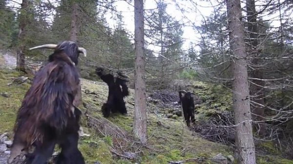 Krampuskränzchen der Jägersee Teufel - Teil 1