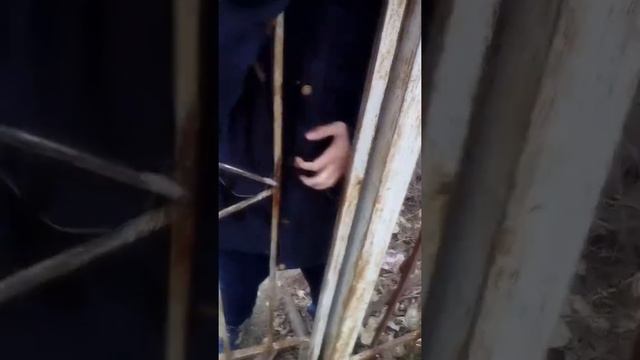 Друг застрял в заборе