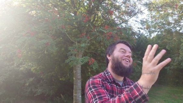 The Rowan Tree - Wild Food, Health Benefits & Mythology (Mountain Ash)