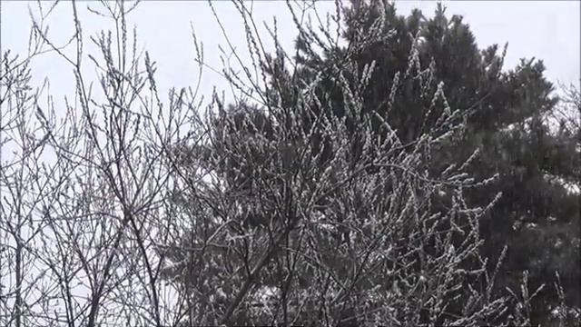 Первый снег 2019 смотреть онлайн