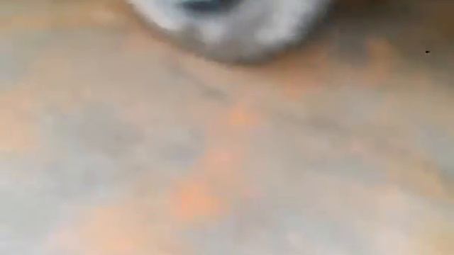 Atego com pente na turbina смотреть онлайн