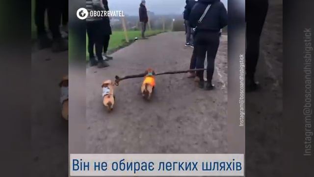 легкий путь смотреть онлайн