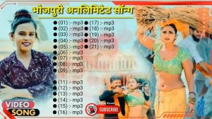 #shilpi raj top 21 भोजपुरी की धमाकेदार सॉन्ग ? दिलवा ले गईल राजा || Bhojpuri song 2023 || non stop