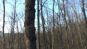 О, весна без конца и без краю... Александр Блок