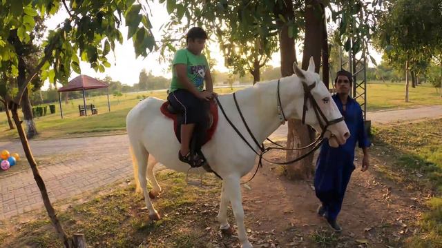 Park Near Rawal Dam Old Spot & Rose & Jasmeen Garden Park Islamabad Views with Rayyan Butt ... смотреть онлайн